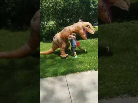 Lori and her husband surprise the grandkids