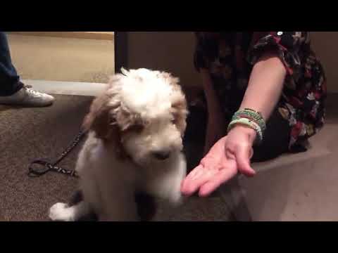 A special guest in the studio